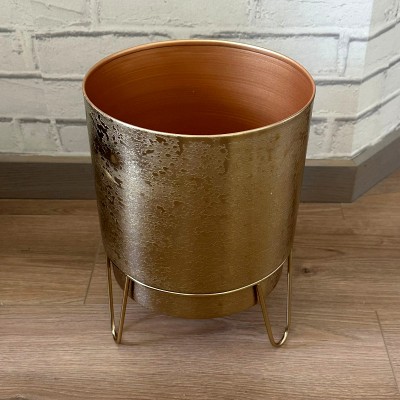 Anisha Gold