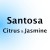 Santosa - Citrus & Jasmine 