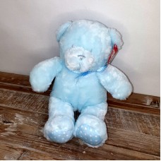 Teddy Bear Blue
