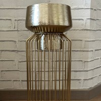 Lia Gold