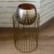 Misha Gold 56 cm 20 cm €55  + €20.00 