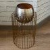 Misha Gold