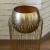 Misha Gold 44 cm 14 cm €35 