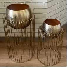 Misha Gold