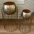 Misha Gold 2 for €85  + €50.00 