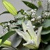 White Lilies